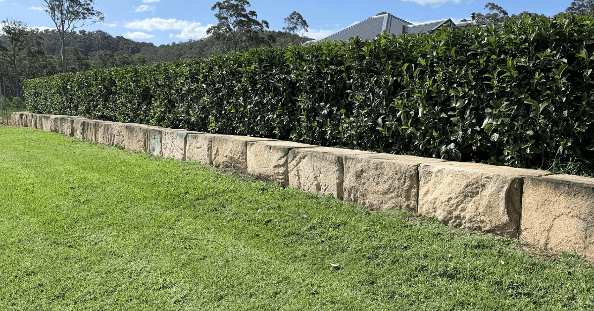 Freshly mowed lawn and trimmed hedges